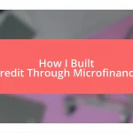 How I Built Credit Through Microfinance