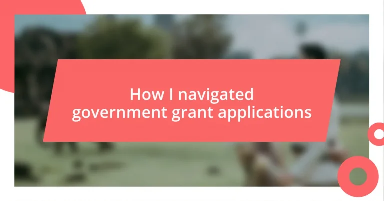 How I navigated government grant applications