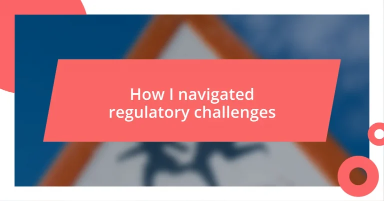 How I navigated regulatory challenges