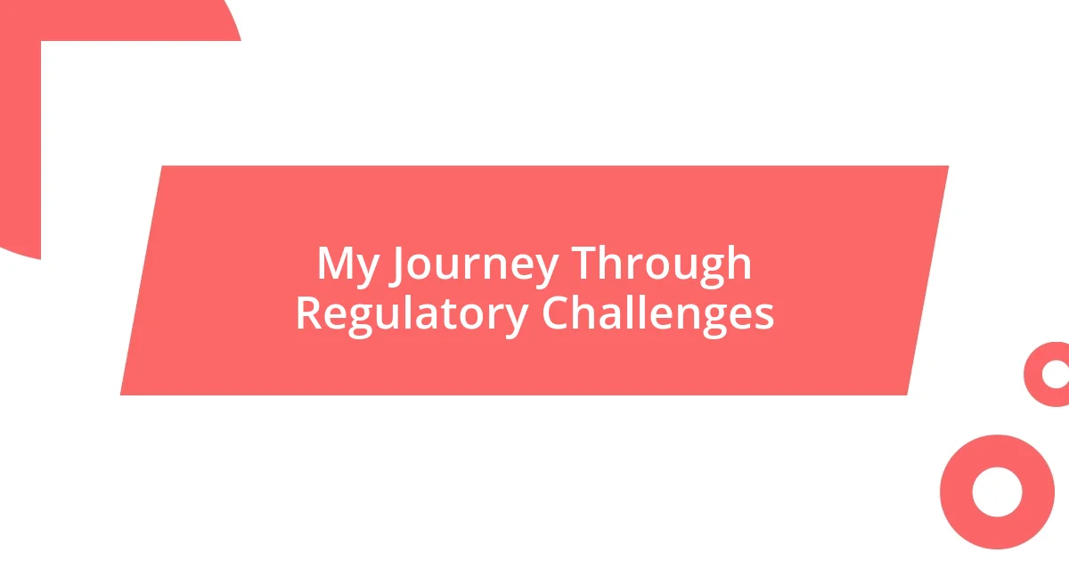 My Journey Through Regulatory Challenges